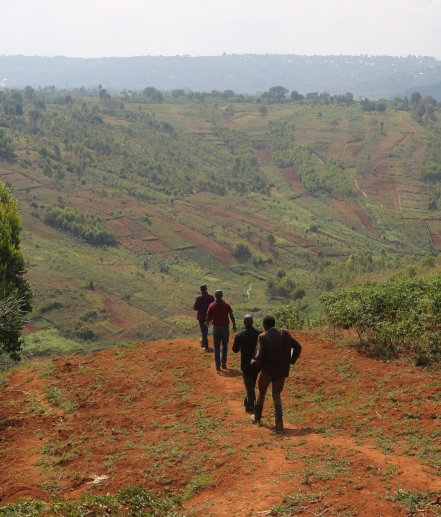 LAND VALUATION  THROUGH EROSION CONTROL: AN ALTERNATIVE SOLUTION TO MASSIVELY ENCOURAGE THE POPULATION TO ADHERE TO THE LAND CERTIFICATION PROCESS. 